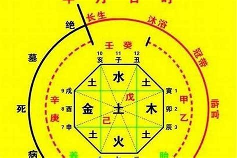 八字天醫|命理中「天醫」星代表的具體易像與運用方法